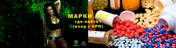 прущие грибы Армянск