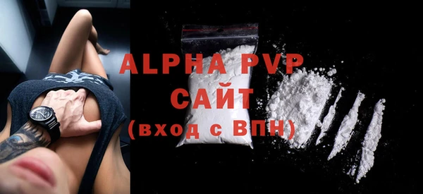 ECSTASY Пересвет