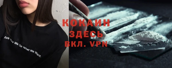 прущие грибы Армянск
