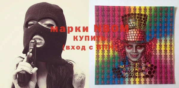 прущие грибы Аркадак