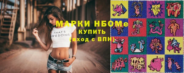 прущие грибы Аркадак