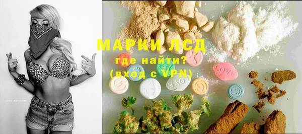 прущие грибы Аркадак