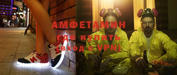 прущие грибы Аркадак