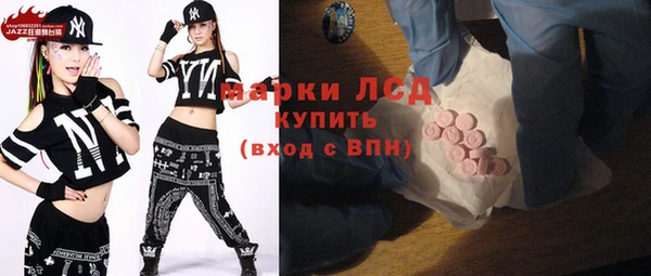 прущие грибы Армянск