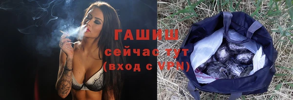 прущие грибы Аркадак